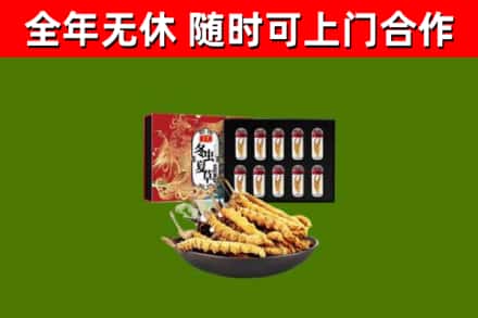 清河烟酒回收冬虫夏草礼盒.jpg